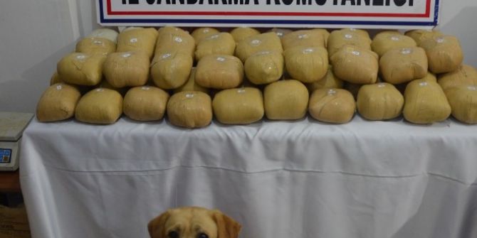 Başkale’de 70 Kilo Esrar Ele Geçirildi