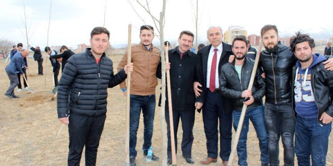 Şehitler Anısına 248 Adet Fidan Toprakla Buluşturuldu