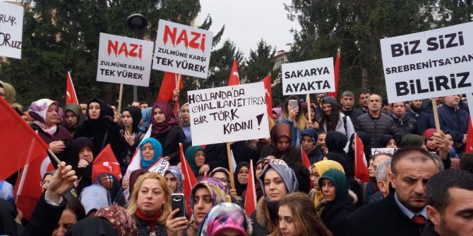 Sakarya’da Stk’lardan Avrupa’ya Tepki Yürüyüşü