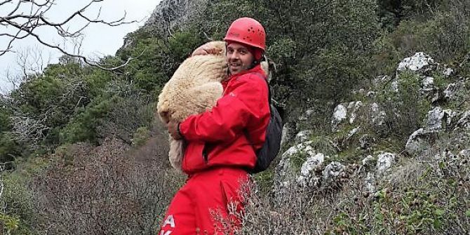 600 Metre Yükseklikteki Uçurumdan Kurtardıkları Yaralı Kangalı Sırtlarında Taşıdılar