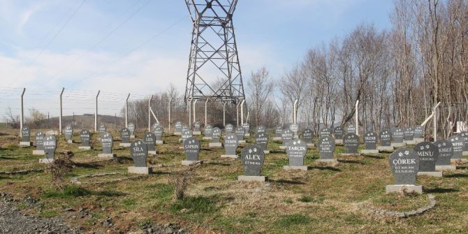 Bu Barınakta Hayvan Mezarlığı Var