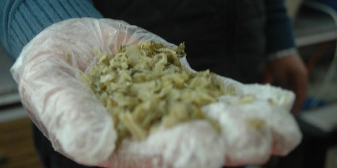 Yyü’den Diyabet Hastalarını Umutlandıran Çalışma