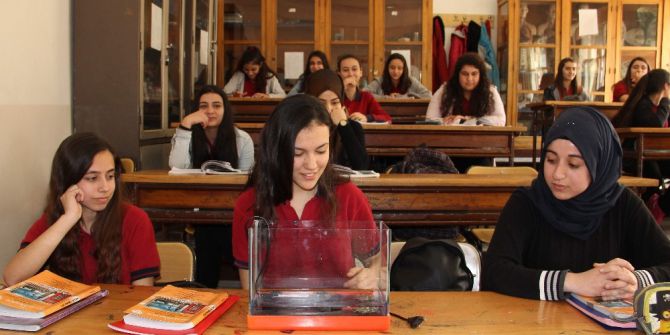 Dersi Hayvanlarla Birlikte İşliyorlar