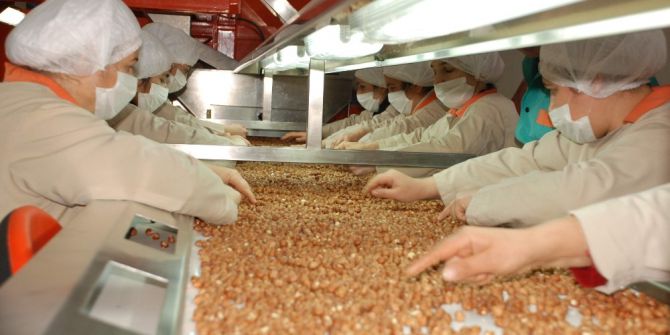 Fındık İhracatı Ve Döviz Miktarı Azaldı