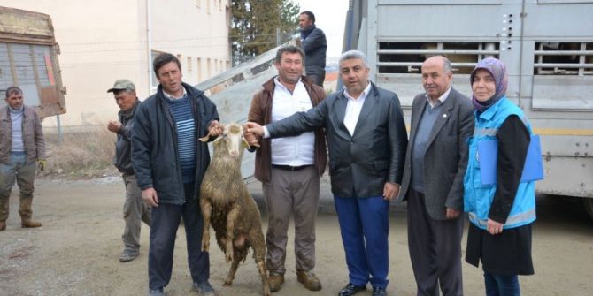 Hisarcık’ta Genç Çiftçilere Hayvan Desteği