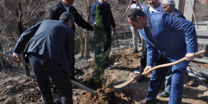 Saklı Köyünde Ağaçlandırma Çalışması