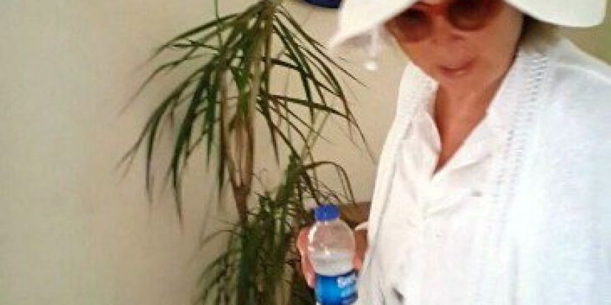 Nazlı Ilıcak Polisi Atlatmak İçin Türlü Yollar Denedi