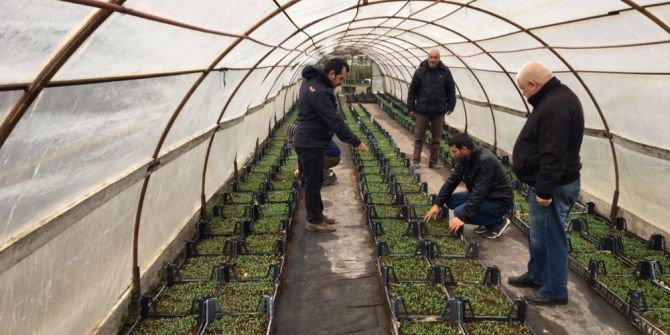 Edirne Çiçeklerle Renklenecek