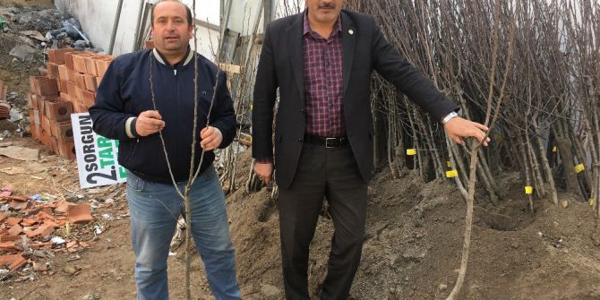 Akdağmadeni’nde Fidan Satışlarına Yoğun İlgi