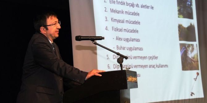 Fındıkta Rekolteyi Artıracak Çözüm Bulundu