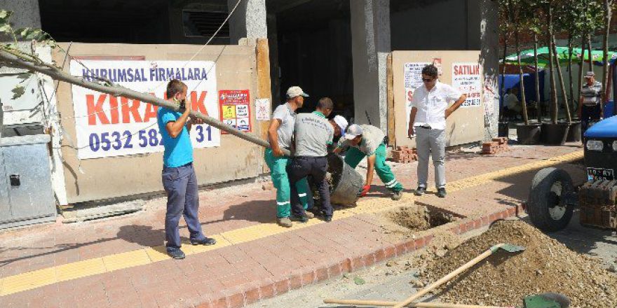 Ali Çetinkaya Caddesi Renkleniyor