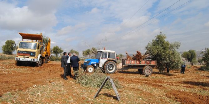 İmara Açılan Arazilerdeki Bitki Örtüsü Başka Arazilere Nakil Ediliyor