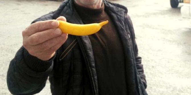 Gören İlk Bakışta Muz Sanıyor