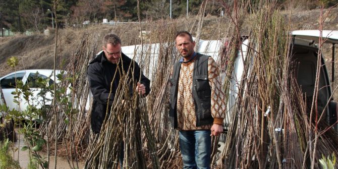 Baharın Müjdeleyicisi Fidanlar Satışta