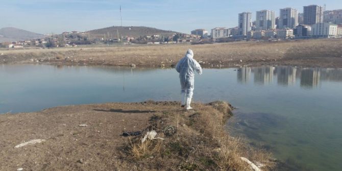 İlaçlama Çalışmaları Erken Başladı