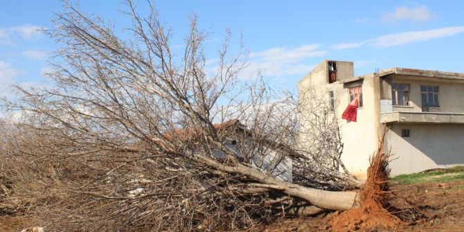 Antalya’da Hortum Seraları Vurdu