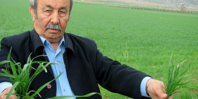 4 Günlük Sağanak Yağış Araban Ovasını Suya Doyurdu