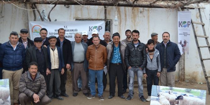"Göçe Karşı, Bafra Koyunu Yetiştiriciliği" Projesinde 115 Üreticiye Eğitim Verildi
