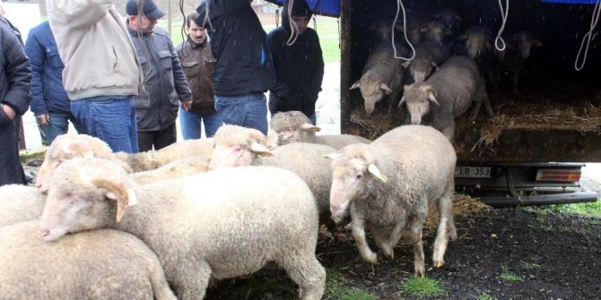 Hayvancılığa Büyük Destek