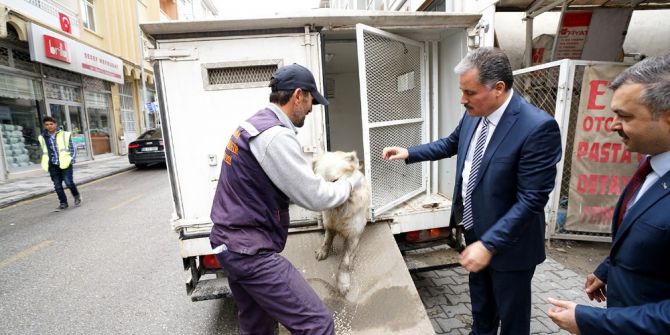 Yaralı Köpeğin Hayatını Belediye Başkanı Kurtardı