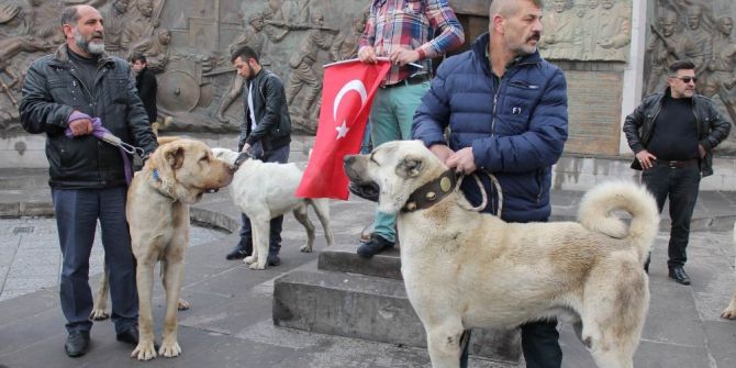 Hollandalılara Kangal Köpekli Gözdağı