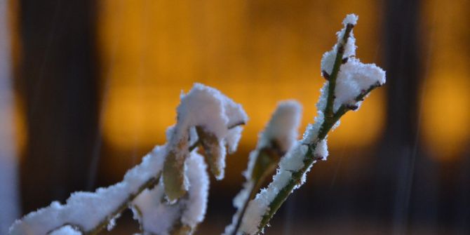 Erzincan’da Yağan Kar Şehri Beyaza Bürüdü