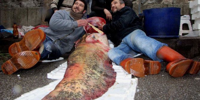 İznik Gölü’nden 8 Yıl Sonra Canavar Çıktı