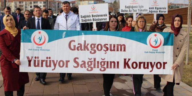 Sağlık Çalışanları, Sağlık İçin Yürüdü