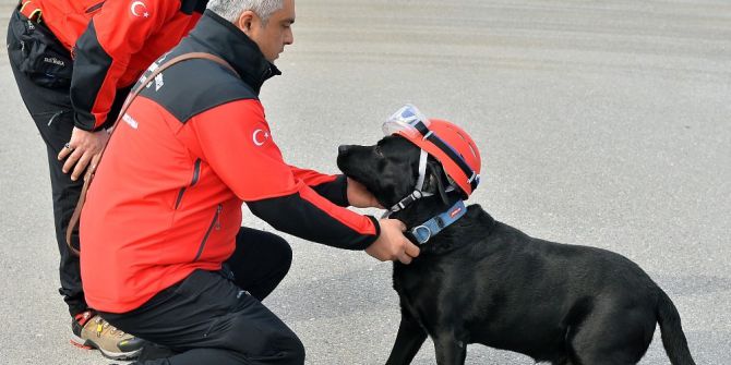 5 Köpek Hayat Kurtarmak İçin Eğitiliyor
