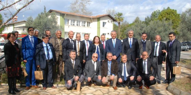 Silifke’de Harap Zeytinlerin Aşılanması Başladı