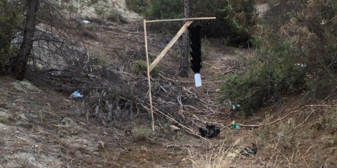 3 Bin Dönüm Ormanlık Alanda Zararlı Böcekle Mücadele Yapıldı