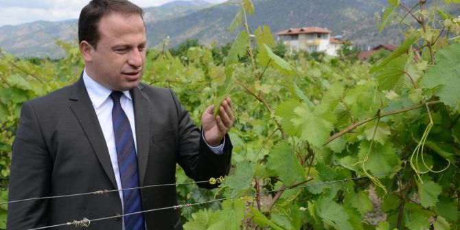 Erbaa Yaprağına Coğrafi İşaret Başvurusu