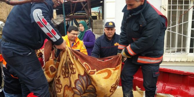 Siirt’te Mahsur Kalan Eşek Kurtarıldı