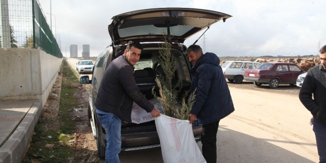 Şahinbey’de 184 Bin Fidan Dağıtıyor