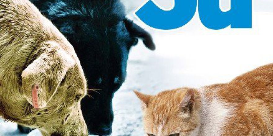 Büyükşehir Belediyesinden Vatandaşlara Uyarı