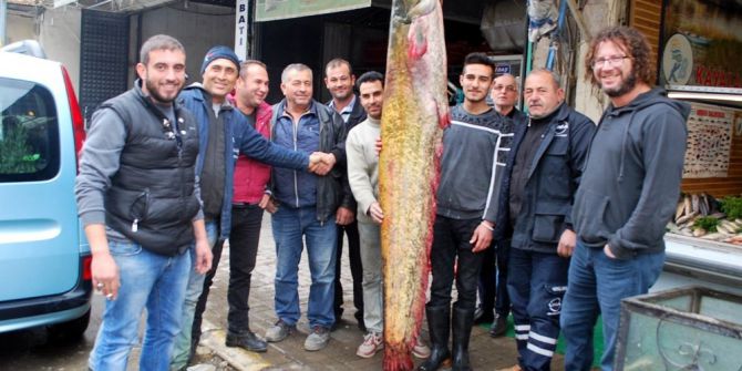 Manisa’da 80 Kiloluk Dev Yayın Balığı Yakalandı