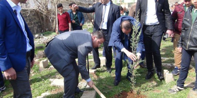 Viranşehir’de Fidan Dikme Kampanyası