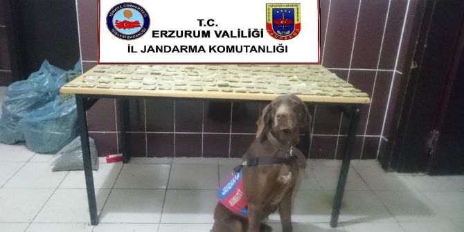 Toprağa Gömülü Uyuşturucuyu Narkotik Köpeği Buldu