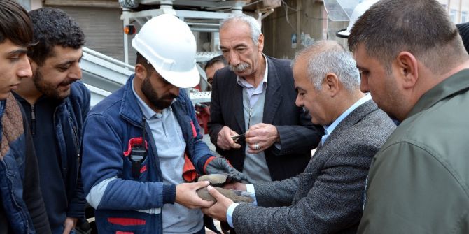 Elektrik Tellerine Asılı Kalan Kuş Kurtarıldı