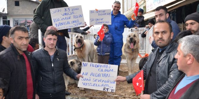 Hollanda’ya ‘Kangallı’ Tepki