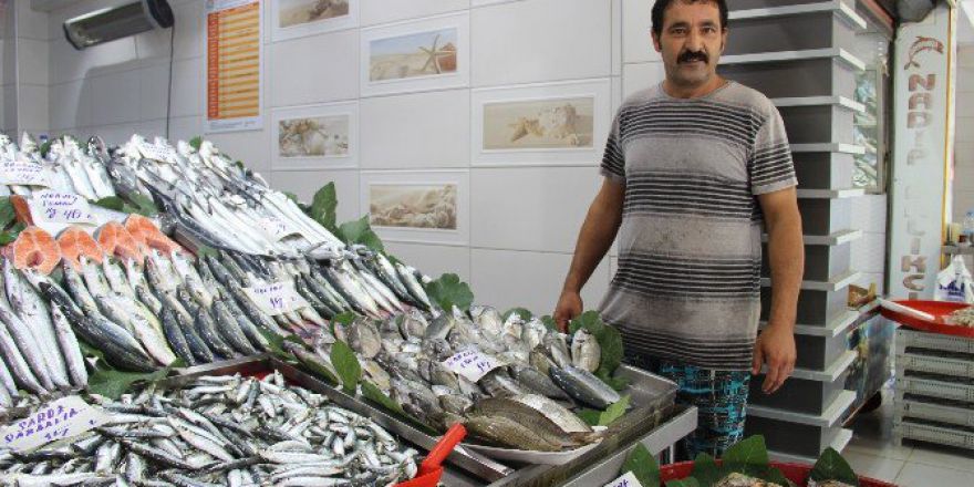 Balıklar El Yakıyor