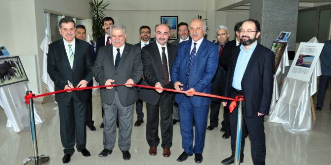 Hem Tıp Profesörü Hem Profesyonel Fotoğrafçı