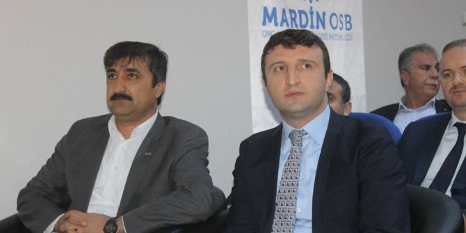 Bakan Yardımcısı Yegin Mardin’de