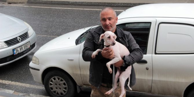 Konteynırda Bulunan Köpeğin Sağlık Durumu İyi