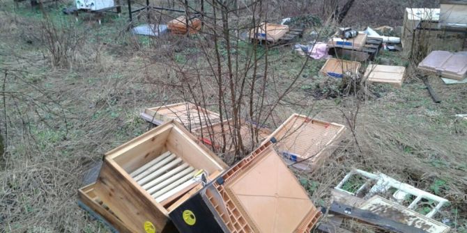 Kış Uykusundan Uyandı, Arı Kovanlarını Parçaladı