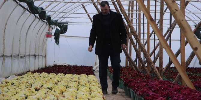 Uludağ’ın Tohumları Altından Değerli