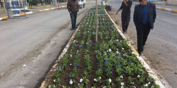 Hani’de Yeşillendirme Atağı