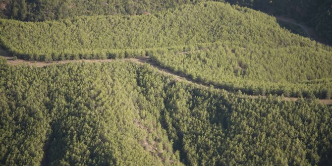 Orman Ve Su İşleri Bakanlığı Antalya’da 5 Milyon 992 Bin Adet Fidanı Toprakla Buluşturdu