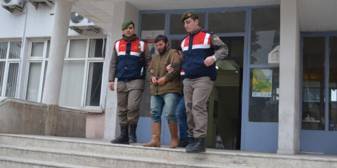 Hayvan Çalan Hırsızlık Çetesi Yakalandı