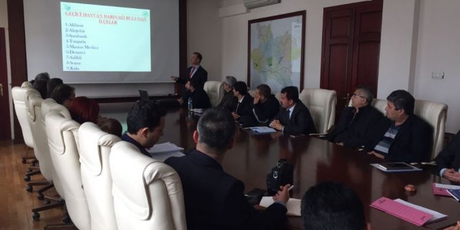 Manisa’daki Hayvan Barınakları Sorunsuz İşliyor